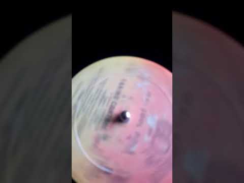 Mc Cool Rock - Taking Control