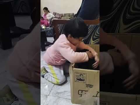 #dog #baby #love #care #funny #fun #masti #youtube #video #song #shorts #shortvideo #yt  #subscribe