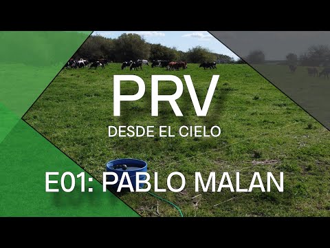 Testimonio de cliente