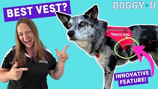 Ruffwear SERVICE DOG GEAR FINALLY RELEASED to Owner-Trainers! (new service dog vest!)