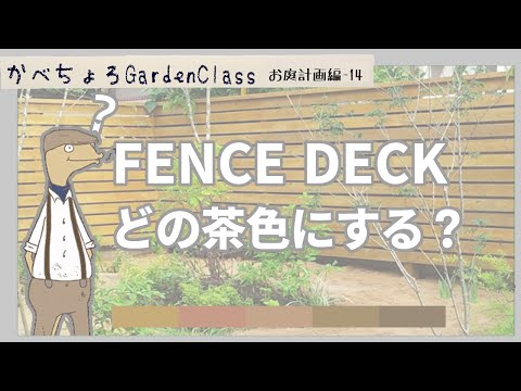 黄色い花を持つ植物 庭 春夏 カンナ