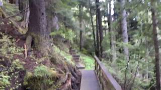 preview picture of video 'Mount Dewey Trail. Wrangell, Alaska'