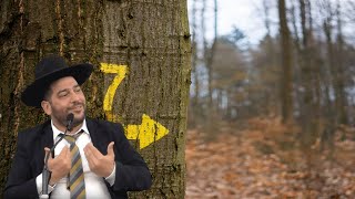 מי חילק את השבוע לשבע?- הרב אפרים שרבני (הרב אפרים שרבני) - התמונה מוצגת ישירות מתוך אתר האינטרנט יוטיוב. זכויות היוצרים בתמונה שייכות ליוצרה. קישור קרדיט למקור התוכן נמצא בתוך דף הסרטון