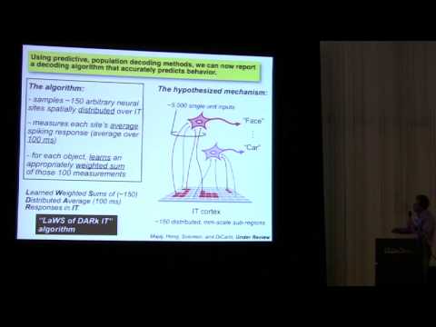 Jim DiCarlo - VSS 2014 Symposium