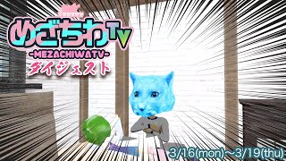 【忙しいあなたに贈る】めざちわTVダイジェスト 3/16(mon)-3/19(thu)【ネッコもいるよ】