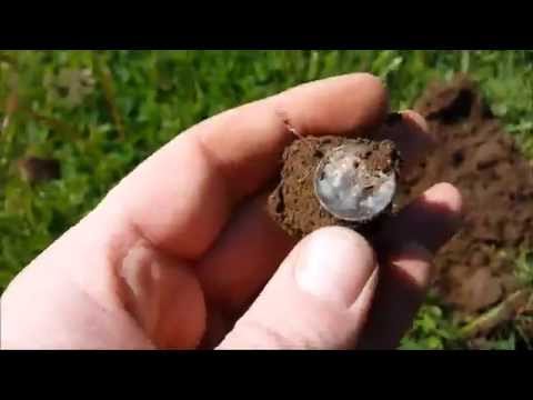 100+ year old SILVER x2