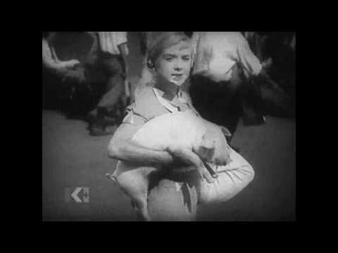 Video thumbnail for I Got the Reason (No. 2)
