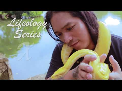 LIFEOLOGY X TEASER 1 | EP 1