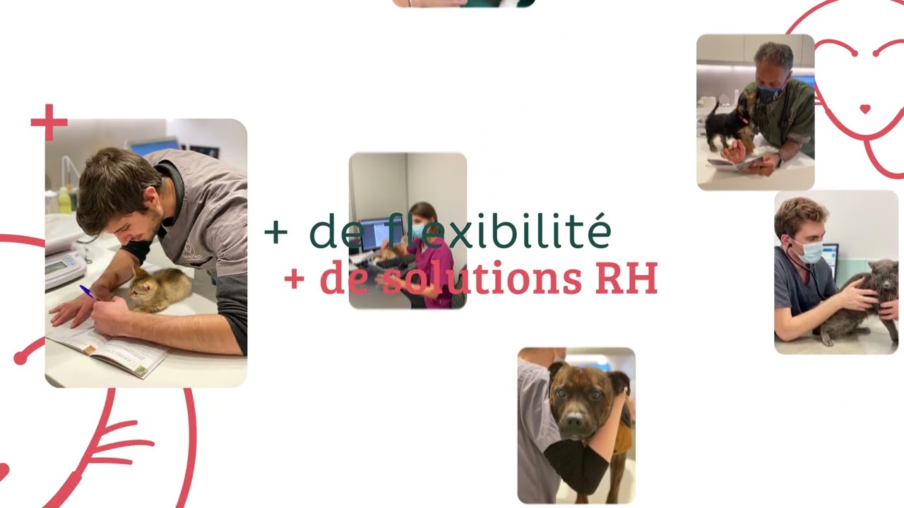 Sevetys — Réseau Vétérinaire