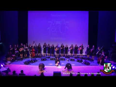 XVI Tudo Isto é Tuna - TFB