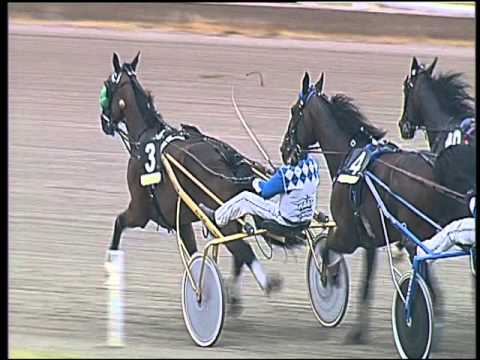 Trotto 22/04/2016 - 8° Corsa