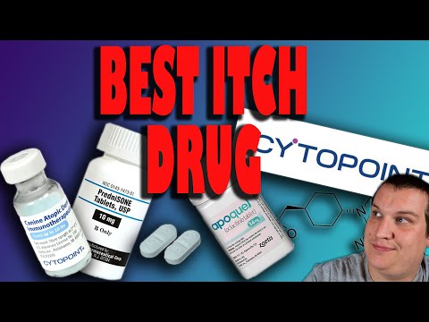 YouTube video about: Can you use benzocaine on dogs?