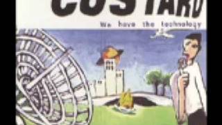 Custard-Sinatra Theory