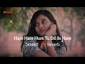 Haare Haare Hum Tu Dil Se Hare Slowed Reverb Josh JB Khan Editzz