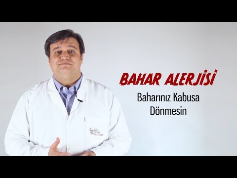 Bahar Alerjisi