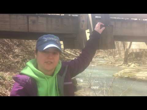 Trout Stocking At Roaring Run