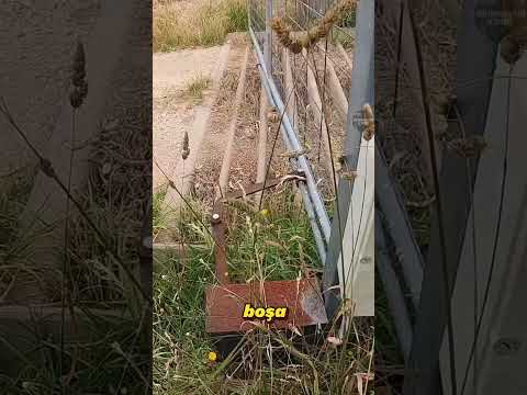 Kapıyı Açmak İçin Arabayla Çarpmak?!🚙🚪