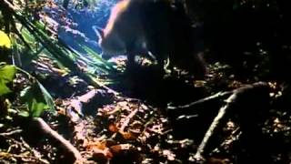 Talk Talk - Life&#39;s What You Make It Official Music Video