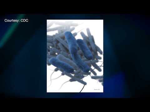 NYC Legionnaires’ Disease Cases