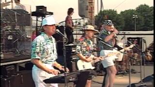 The Beach Boys - Catch A Wave Live