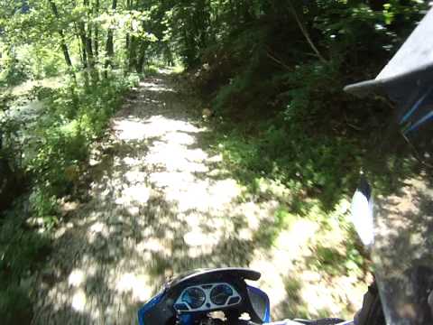 Cheile Nerei, Caras Severin