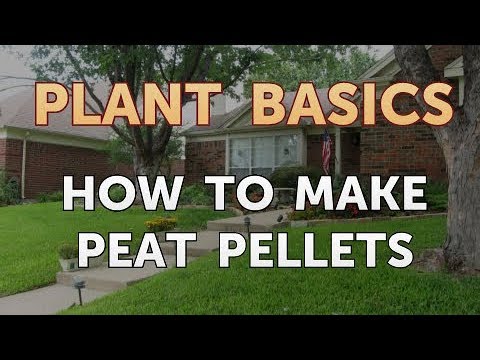 How to Dry an Overwatered Plant