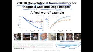 L9.5.1 Cats &amp; Dogs and Custom Data Loaders