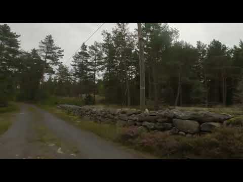 Salsjön bräknehoby