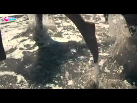 DJ Avicii a Milan Lieskovský