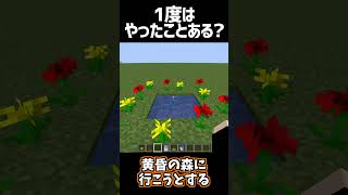 初心者なら1度はやったことある?【マインクラフト】