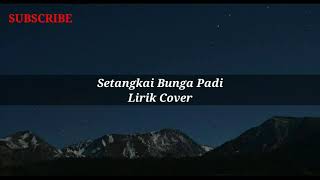 Download lagu lirik lagu ' Setangkai Bunga Padi' lirik cover mp3