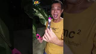 Download lagu MAIN PETASAN TETANGGA NGAMUK ! mp3 Download lagu MAIN PETASAN TETANGGA NGAMUK ! mp3