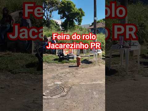#feiradorolo #shortsfeed #shortsvideo jacarezinho Paraná
