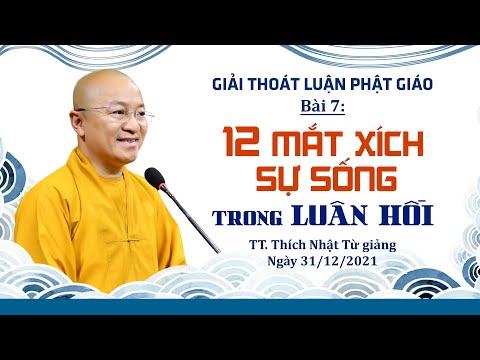 12 mắt xích sự sống trong luân hồi l Giải thoát luận Phật giáo