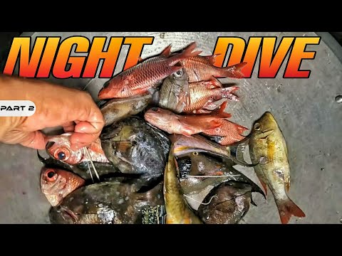 P2 - NIGHT DIVE | HARABAS