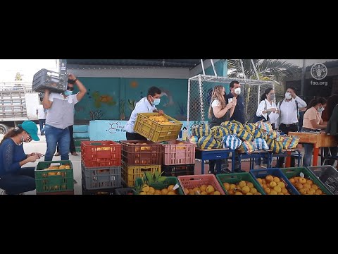 School feeding in Portoviejo, Ecuador