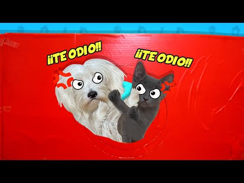 HOLE CHALLENGE!! BABY CAT vs PUPPY DOG