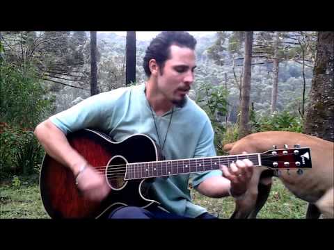 Cristalina Luz - Aaron Molina