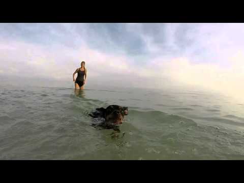 GIRLS ON BEACH MOVIE