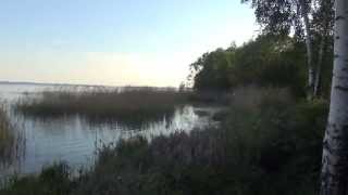 preview picture of video 'Беларусь Нарочь Наш берег в мае 2014 (Our coast in May 2014)'