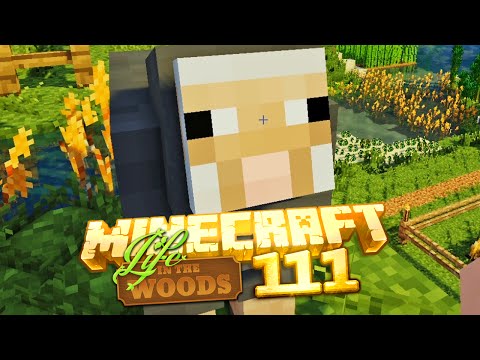 LIFE IN THE WOODS [S01E111] - Betonplatte, Automatischer Brennofen, Vorhaben | Gronkh