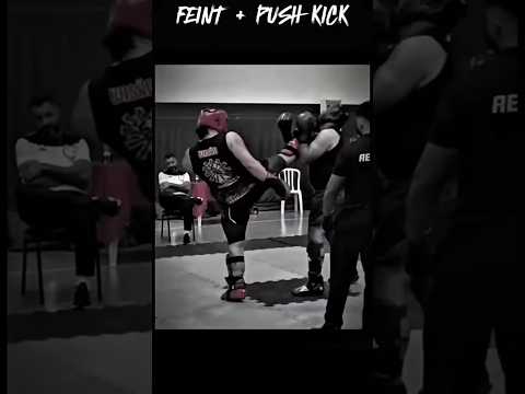 Feint + Push Kick 🥊🔥 #shorts