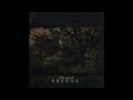 Arcana - Out of the Grey Ashes