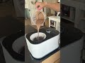 Trisa Glacemaschine La Cremeria Plus 1 l, Schwarz/Weiss Trisa Glacemaschine La Cremeria Plus 1 l, Schwarz/Weiss