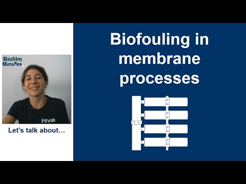 Biofilm Minutes  - Biofouling in membrane processes