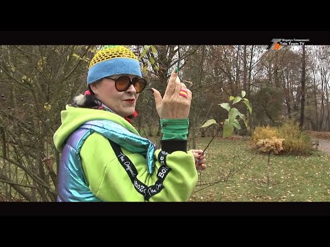 "Rozmowa o..." - Danuta Stankiewicz jak kolorowy ptak