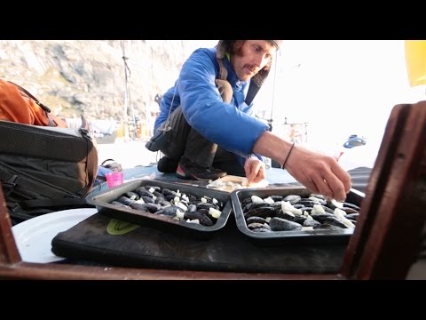 E.O.F.T. 16/17 | A TASTE OF ADVENTURE