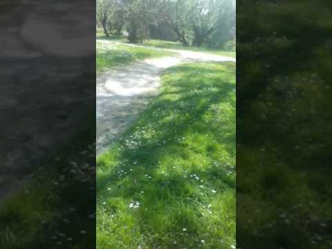 Balade en vélo dans drusenheim