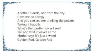 Blondie - Golden Rod DVD Lyrics