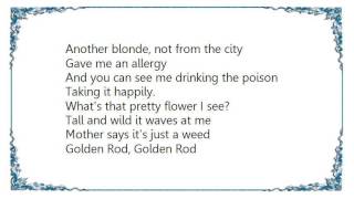 Blondie - Golden Rod DVD Lyrics